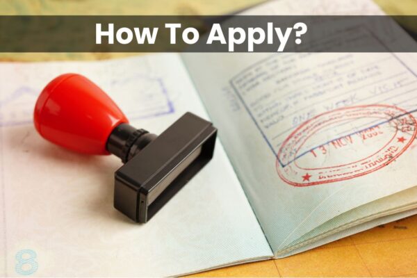 How to apply for health and care visa