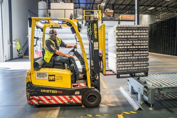 UK Gov planning to Reducing Reliance on Overseas Workers - Domestic Labour First 