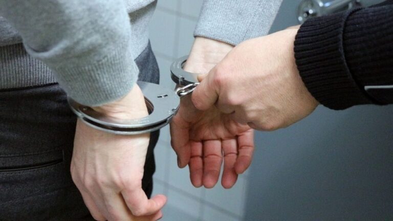 Blog (In the image a corporate offender can be seen being detained) What Are Corporate Disputes Examples and Types?