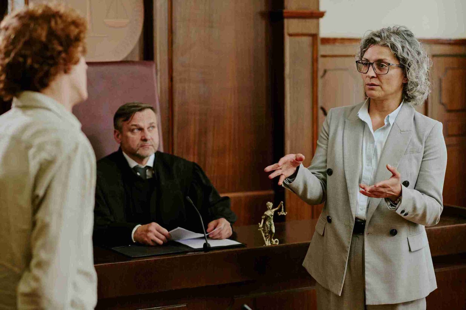 In the image Witnesses can be seen in a civil case.