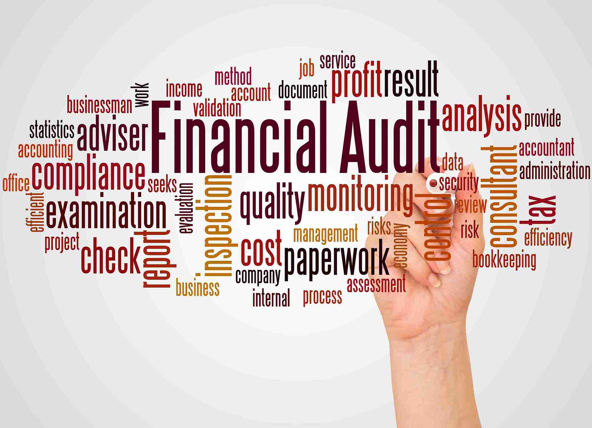 Word cloud with "Financial Audit" in large font at center, surrounded by related terms like compliance, examination, tax, and analysis.
